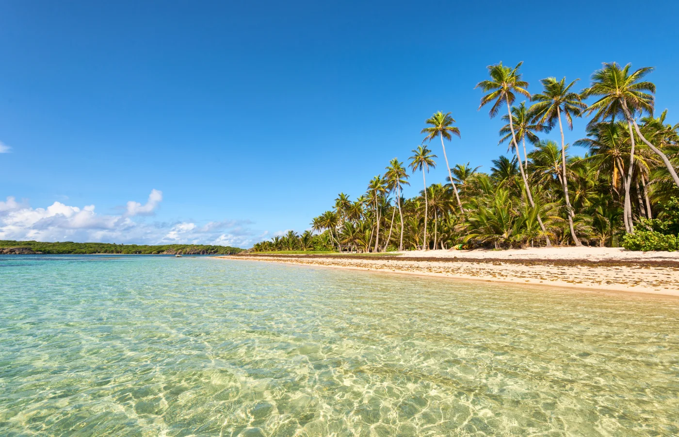 Sports nautiques dans les eaux cristallines des Antilles