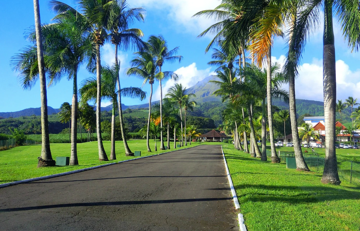 Route de montagne en Martinique pour le VTT