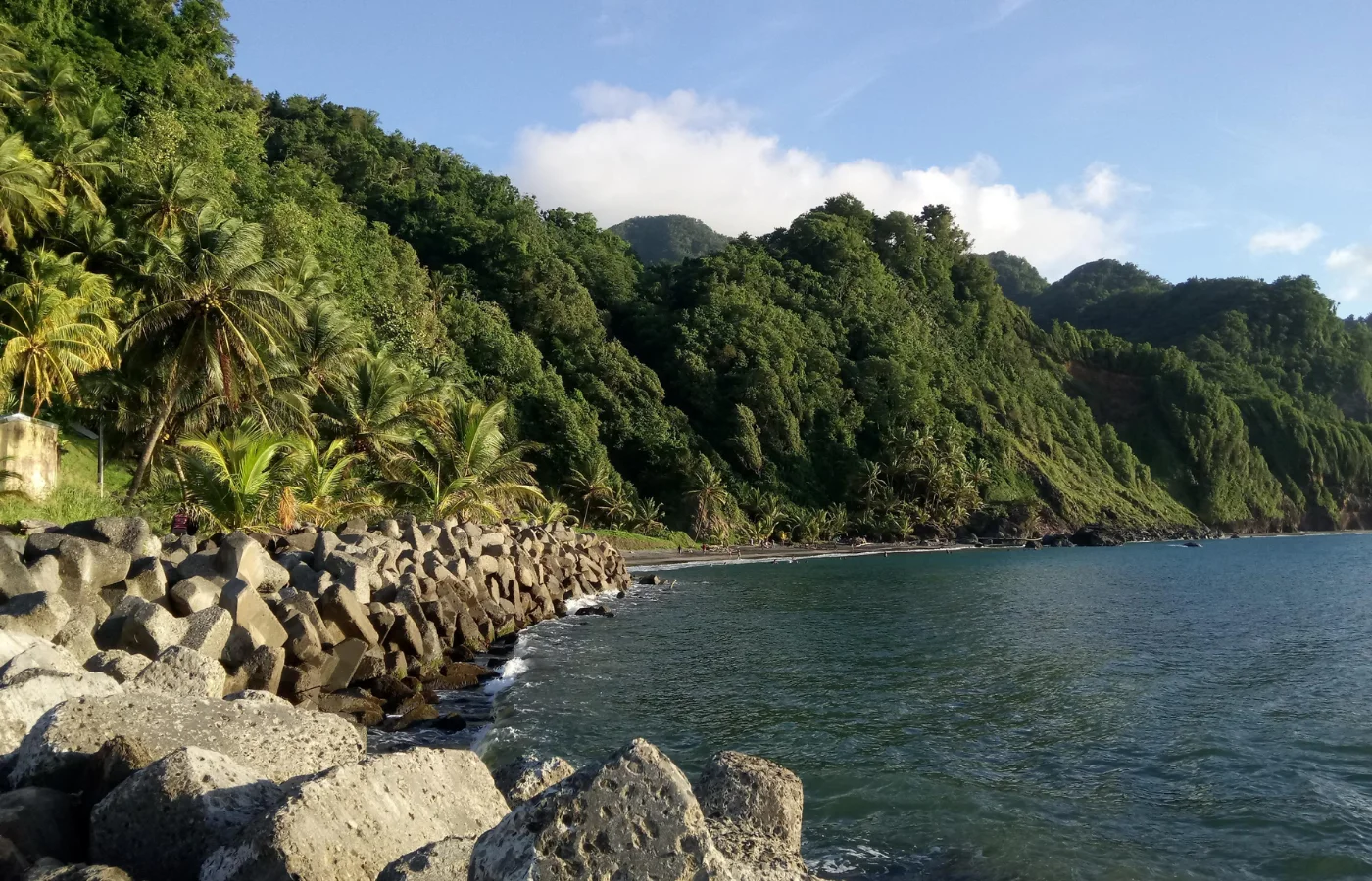 Plage de Sinaï en Martinique, sable noir volcanique et falaises dans le nord sauvage