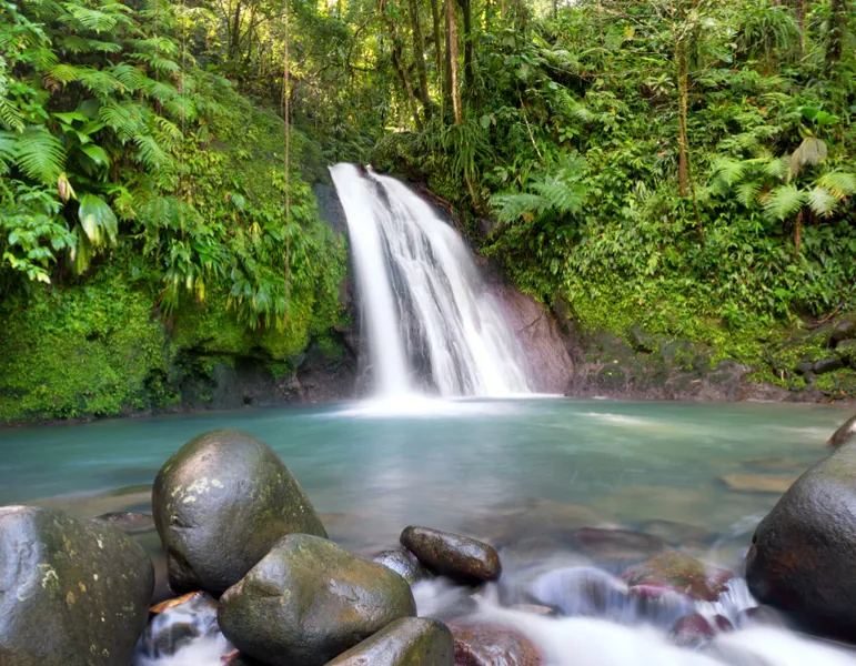 Basse Terre, Guadeloupe — forêt tropicale et cascades
