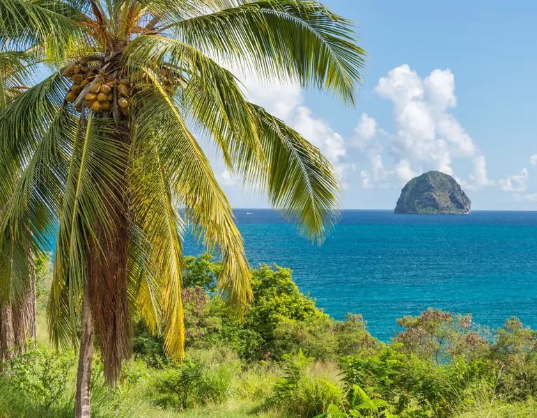 Le Rocher du Diamant, Martinique — plongée sous-marine