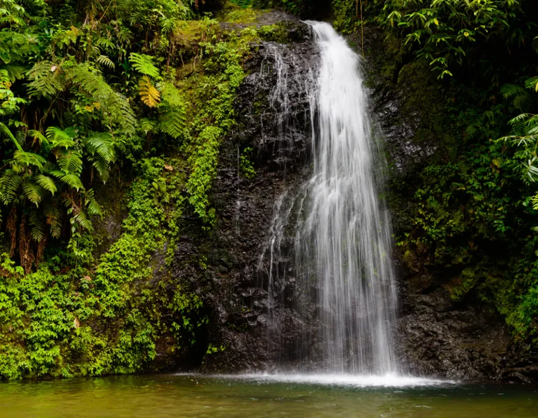 Grand'Rivière, Martinique — village de pêcheurs et randonnée