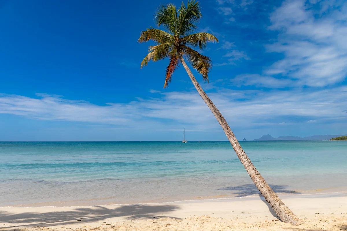 Martinique – côte sauvage
