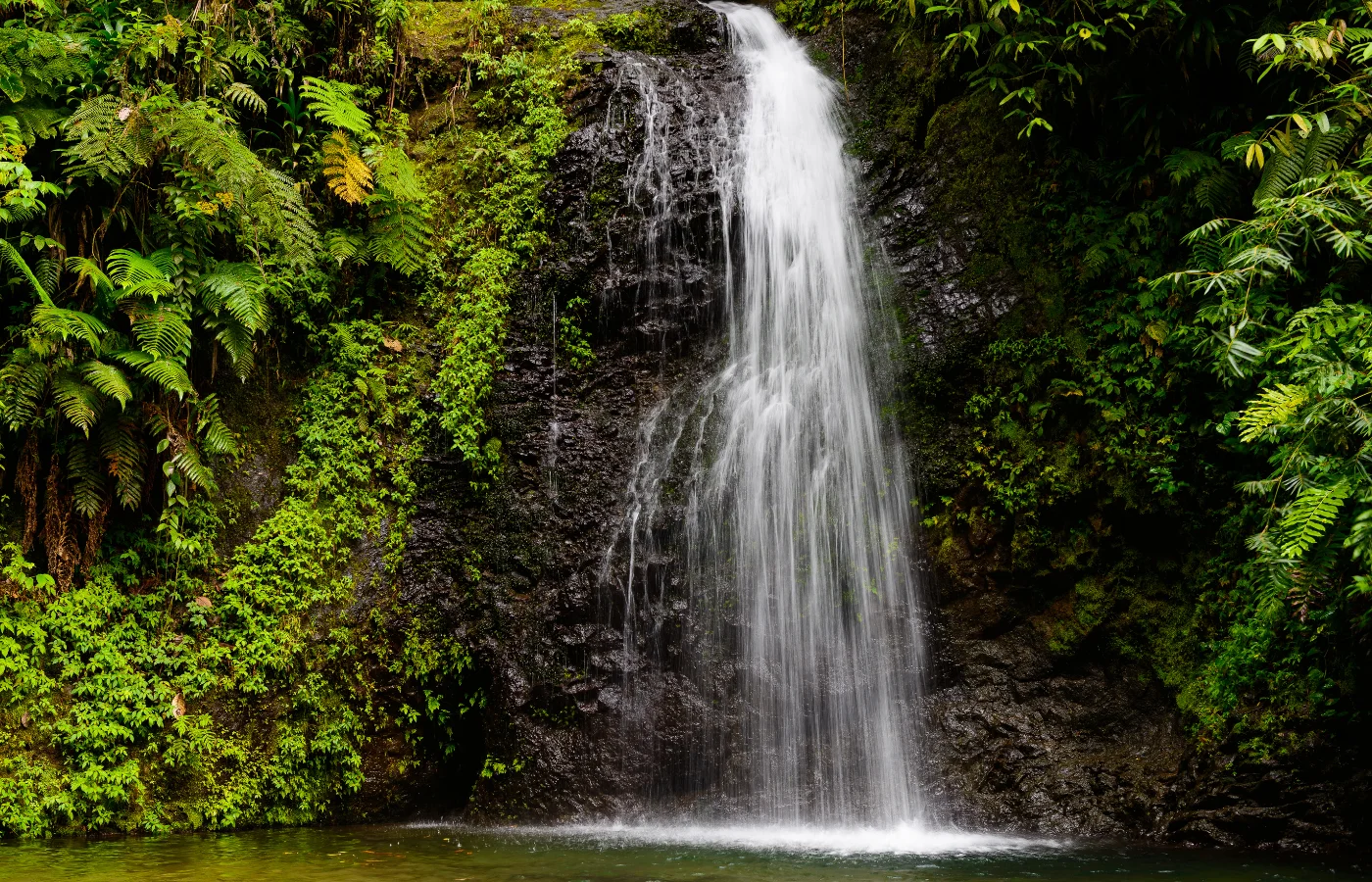 Cascade en Martinique, randonnée dans la forêt tropicale
