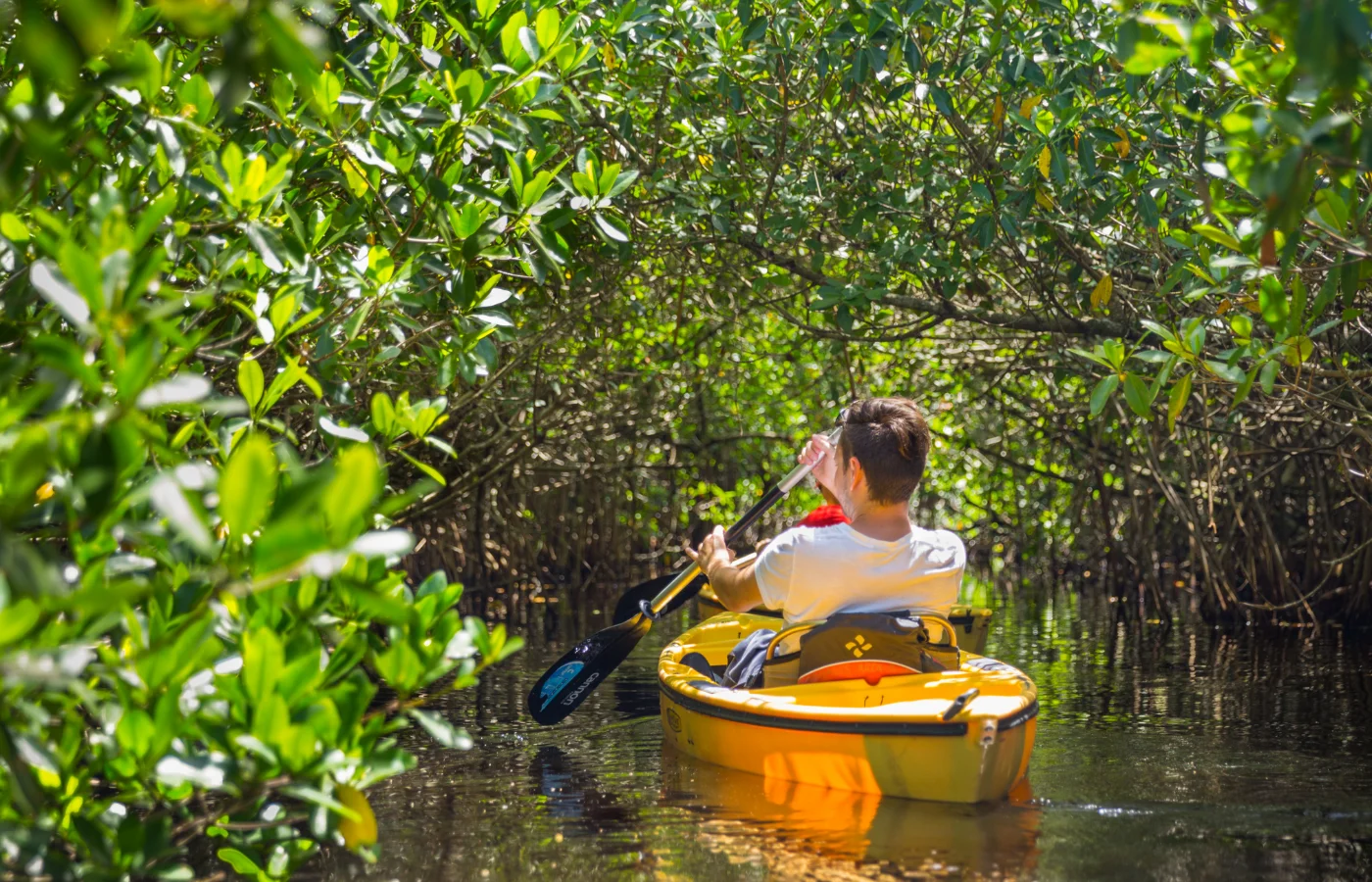 Canoë en mangrove, Guadeloupe — activités nature teambuilding