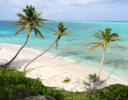 Plage aux Grenadines