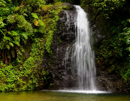 Cascade en Martinique