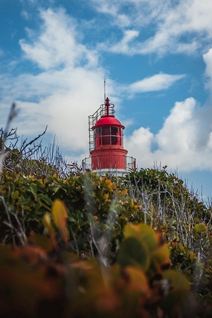 Voyage sur-mesure en Guadeloupe