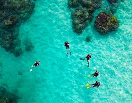 Plongée sous-marine aux Grenadines